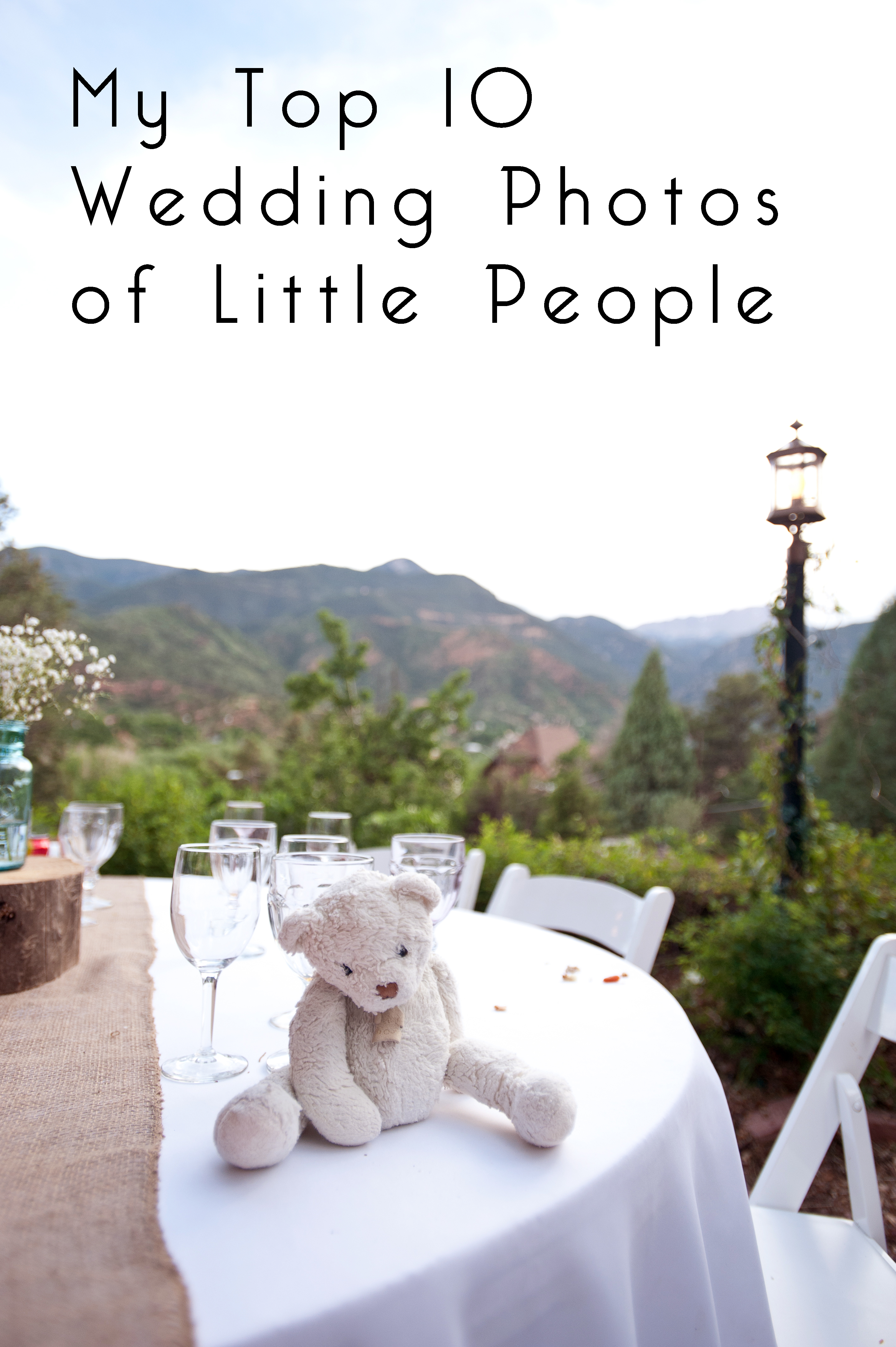 bear on table